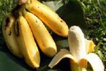 Banane Galan